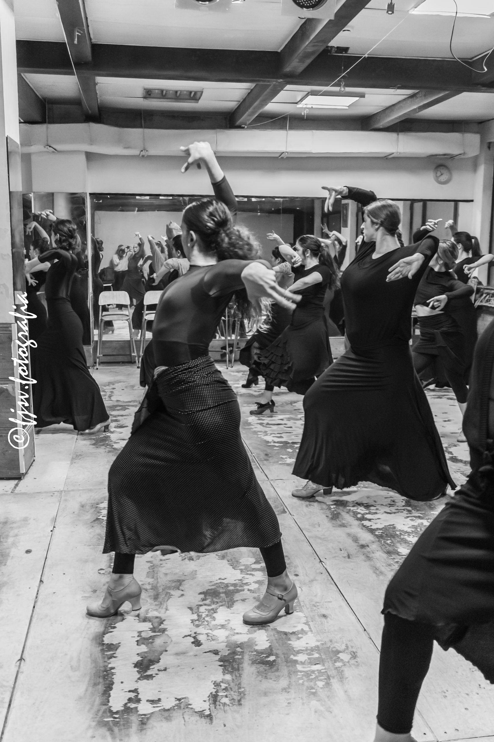 Flamenco_0099JAVIERSOTILLO130220